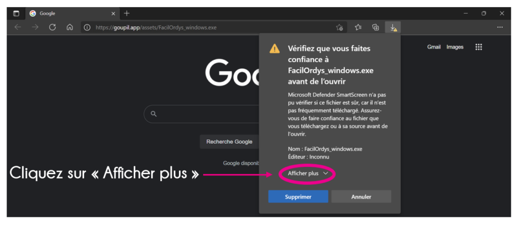 téléchargement facil'ordys